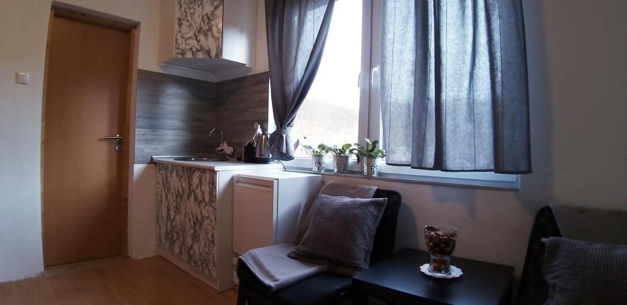 Studio Apartman Sajra Кулен Вакуф Екстериор снимка